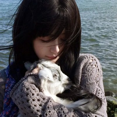 鞋猫剑客：三小恶猫